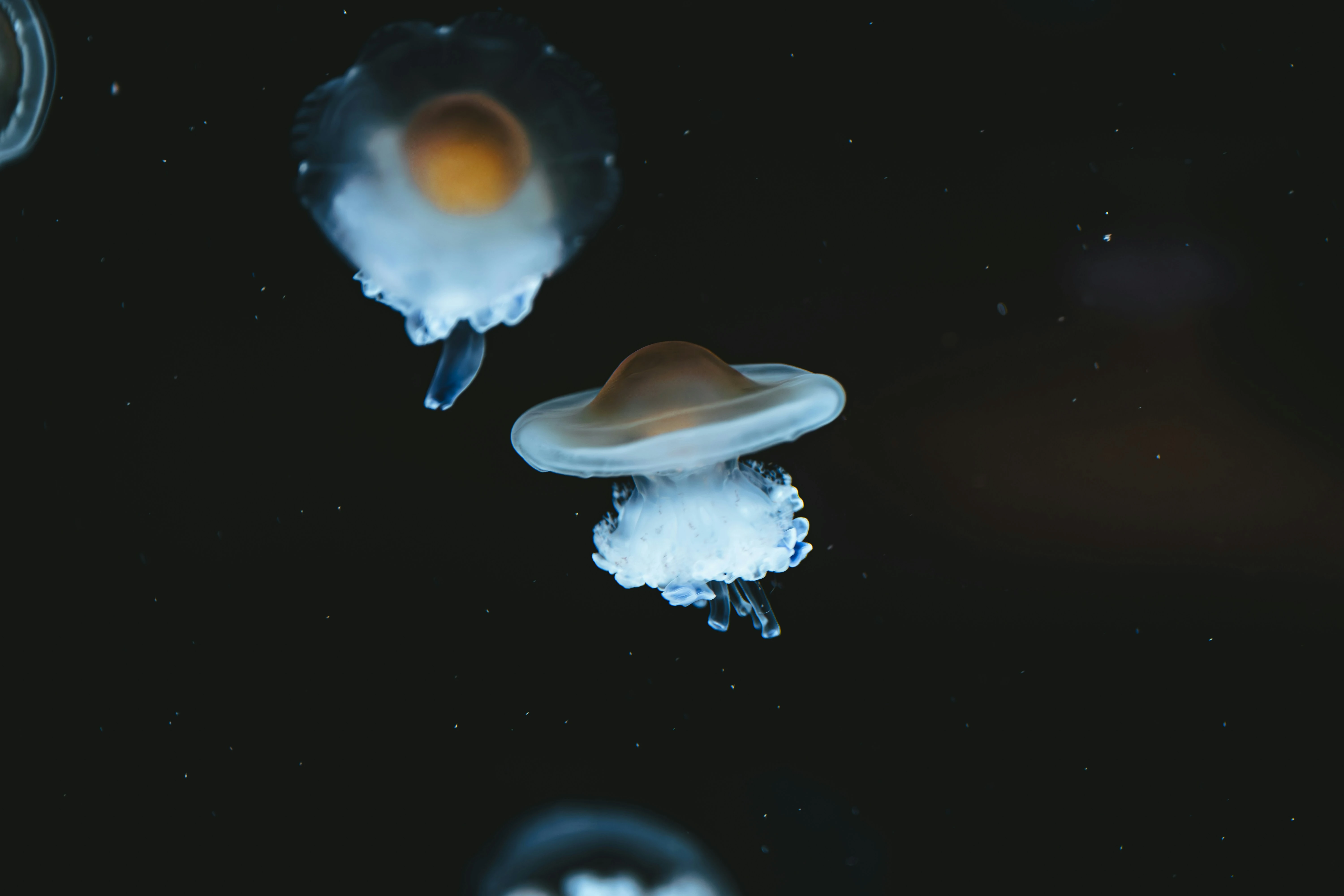 Discover Intresting Things